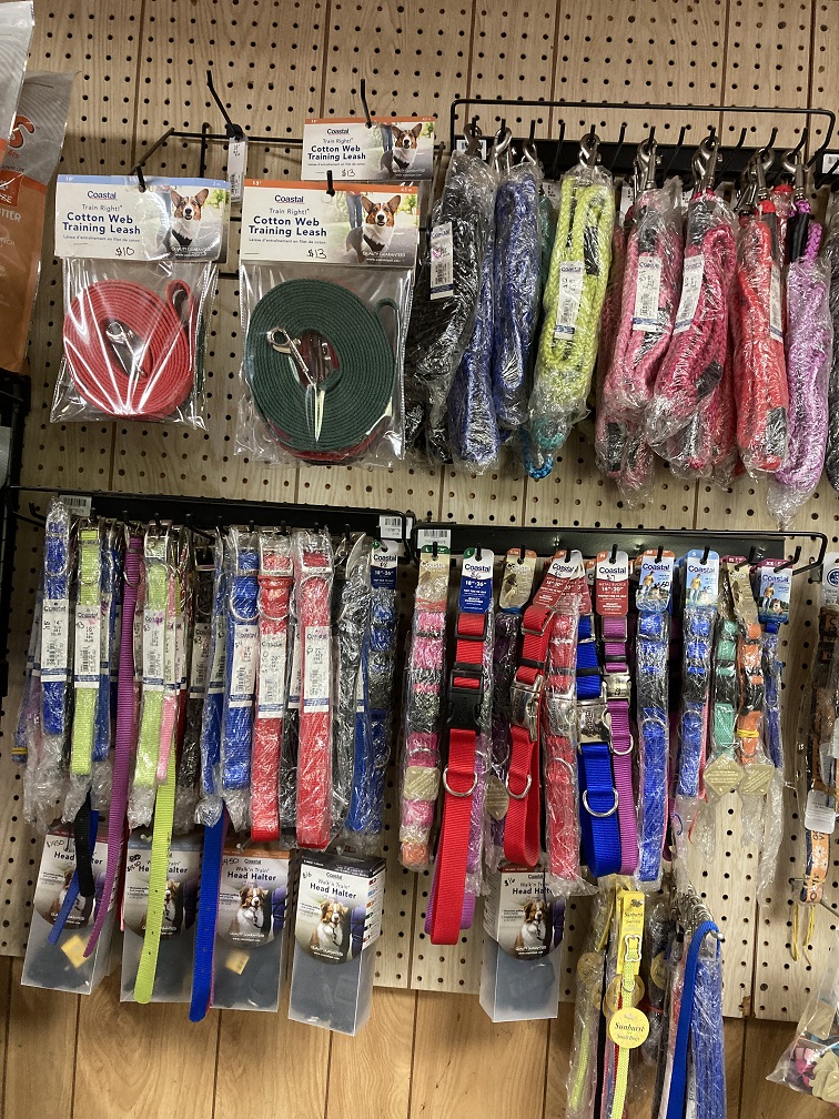 Dog collars