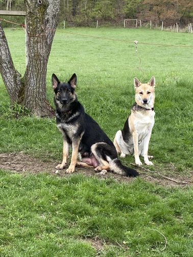 Jake and Gracie